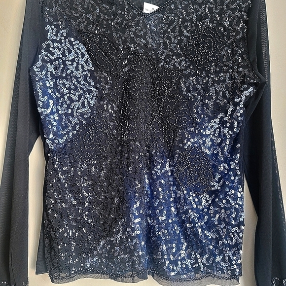 NWT Melanie Lyne Textured Sequins Chiffon Long Sleeve Top in Black Size… - Picture 5 of 13